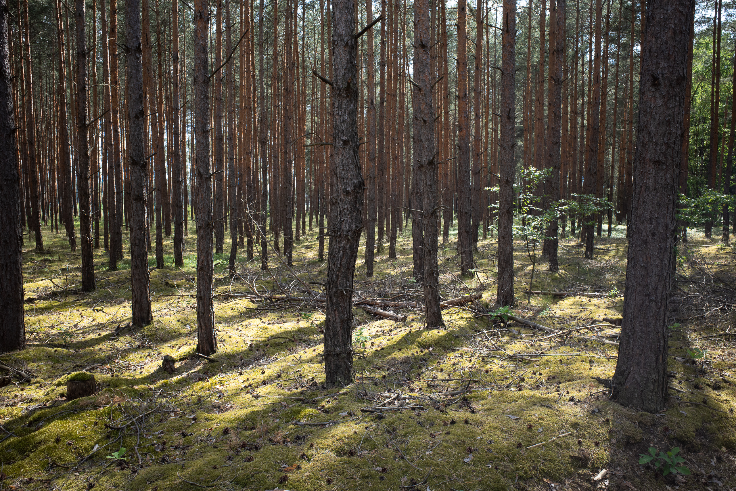 Kleine Orte ohne Geschäfte
